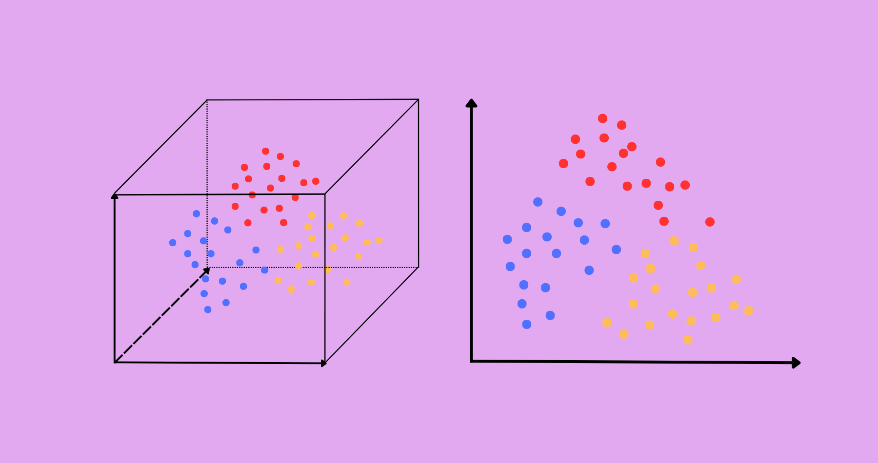 Dimensionality Reduction Algorithms