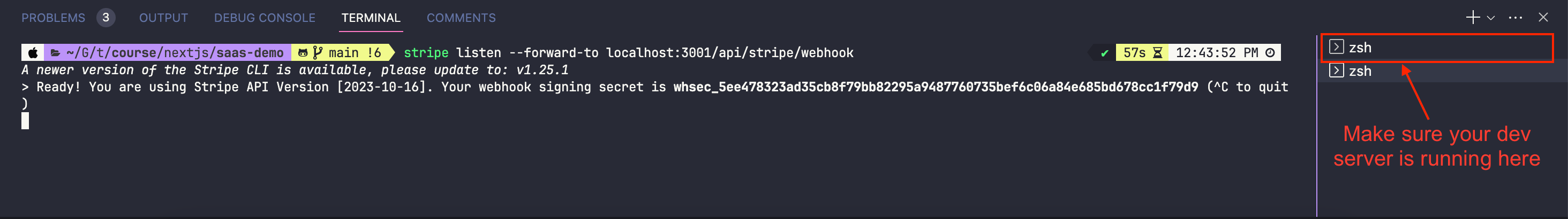 Stripe webhook listen