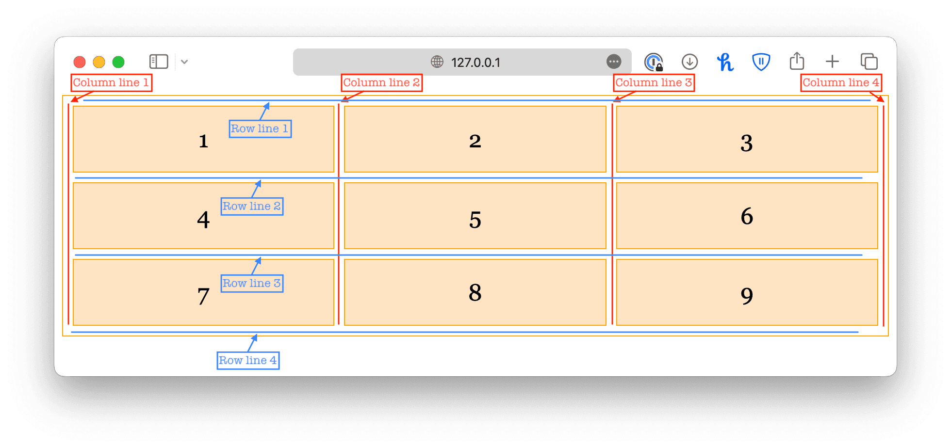 column lines and row lines