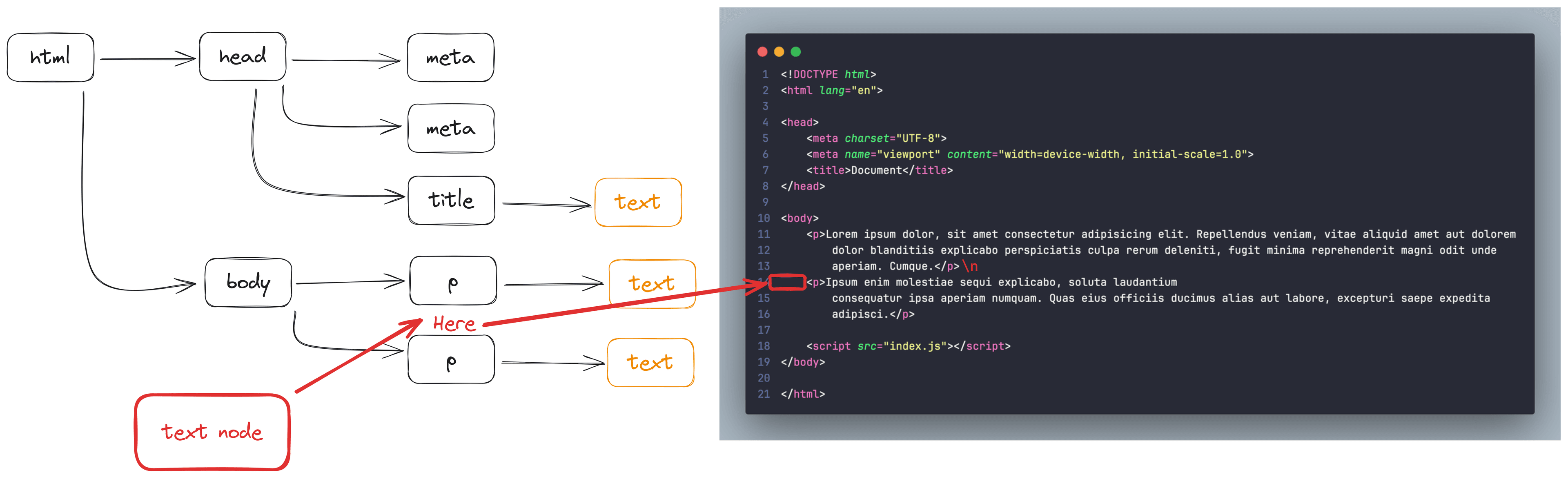 The hidden text nodes