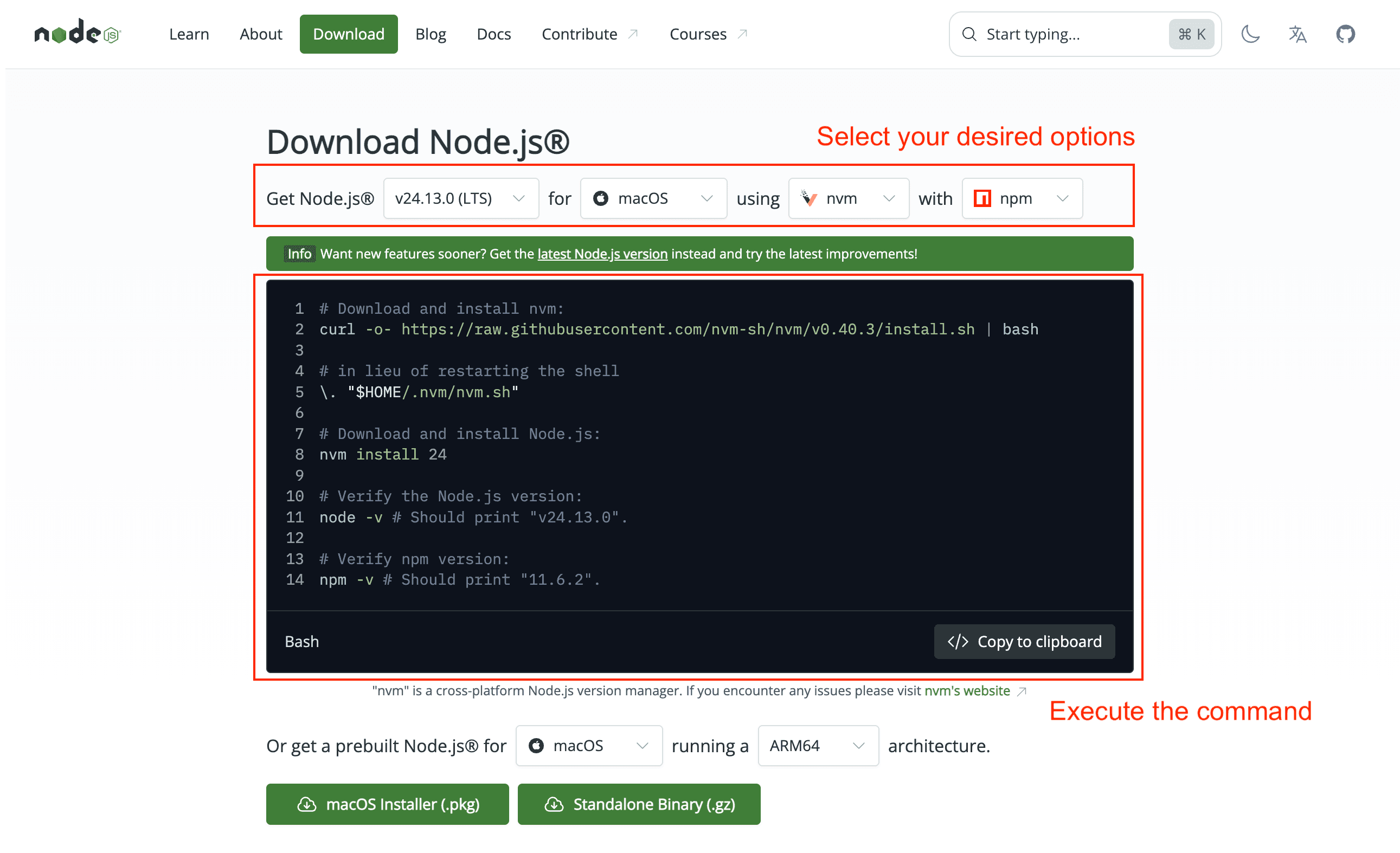 Node.js Download Options